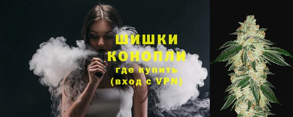 шишки Осинники