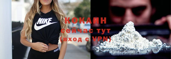 шишки Осинники