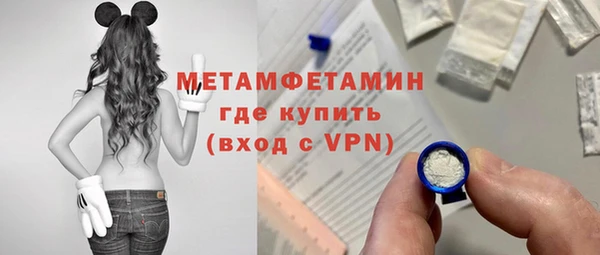 шишки Осинники