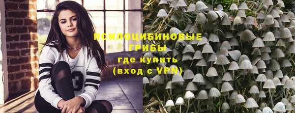 крисы Нязепетровск