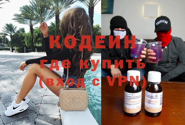 шишки Осинники