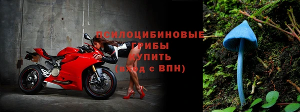 мяу мяу мука Осташков