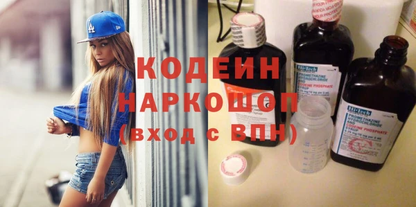 шишки Осинники