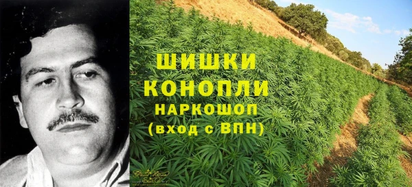мяу мяу мука Осташков